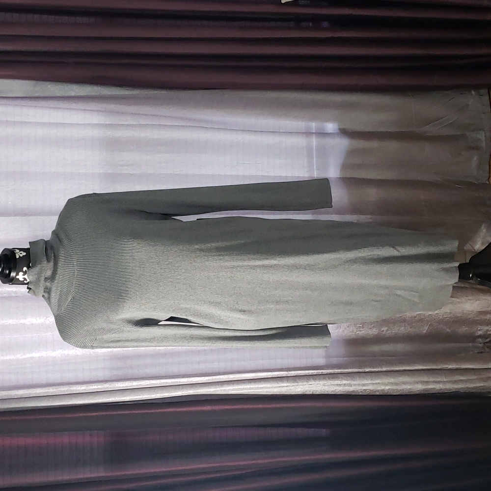 Express turtle neck dress